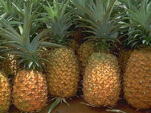 Reine Ananas frozen Vietnam Ananas Comosus Ananas frozen exportation Ms sofia - Product Image 5