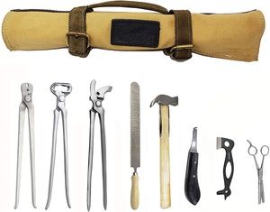 Kit d'outils professionnels pour ferrage de chevaux, kit de toilettage pour ferrage avec coupe-ongles, pince à crins, extracteur de clous, marteau de ferrage, râpe et boucle - Product Image 2