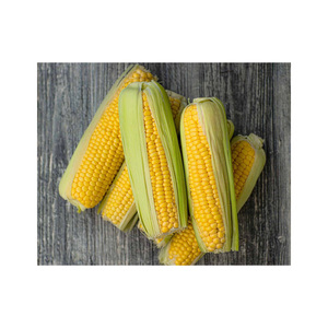 Maíz amarillo de alta calidad Origen de EE. UU. Almacenamiento de humedad de grado seco Certificado HACCP Vida útil de 2 años - Product Image 6