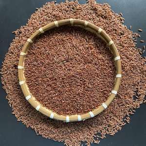 ข้าวกล้องเมล็ดยาว ข้าวกล้องธรรมชาติ ขายส่งจำนวนมาก ผู้จัดจำหน่ายโดยตรงจากโรงงาน สำหรับผู้ซื้อในธุรกิจค้าปลีกและอุตสาหกรรมอาหาร - Product Image 1