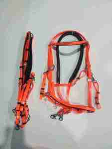 Bridon d'endurance en cuir haute résistance conçu pour les professionnels, garantissant un contrôle supérieur du cheval et une performance d'équitation confortable - Product Image 6