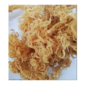สาหร่ายคุณภาพสูงจากเวียดนาม - Product Image 6