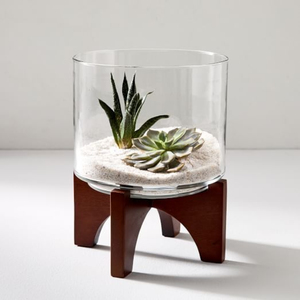 Jarrón de Cristal para Terrario con Soporte de Madera, Jardinera Interior de Estilo Rústico, Maceta para Suculentas, Centro de Mesa de Decoración Moderna para el Hogar, Jarrón de Cristal - Product Image 1