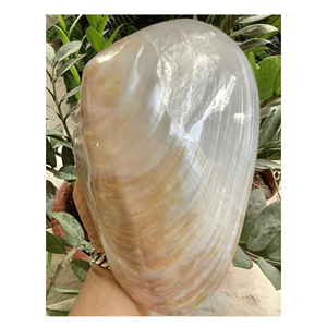 Plateau en nacre, plateau en coquille de nacre polie pour la présentation de bougies, porte-parfum et décoration d'intérieur, Vietnam - Product Image 4