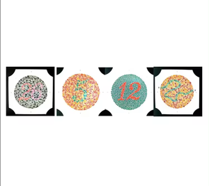 LIVRES DE TABLEAU DE TEST ISHIHARA POUR LA DÉFICIENCE DE COULEUR 24 PLAQUES MARS FABRICATION .. - Product Image 1