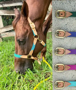 Vente chaude réglable Nylon cheval bride forte Durable saisonnier Tack licou prix de gros Bronc Style populaire auprès des cavaliers - Product Image 2