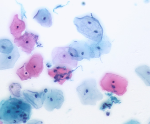 <span class=keywords><strong>Microscope</strong></span> biologique LCD numérique BLM2-241 BestScope caméra 6.0MP 11.6 pouces <span class=keywords><strong>Microscope</strong></span> biologique à fluorescence à écran Full HD - Product Image 3