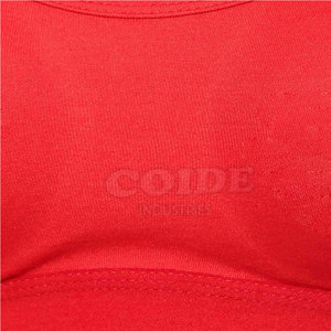 Yoga Fitness Wear Sports Gym Bra Personalizado Nueva llegada Sujetador deportivo de mujer de alta calidad Sin costuras - Product Image 5