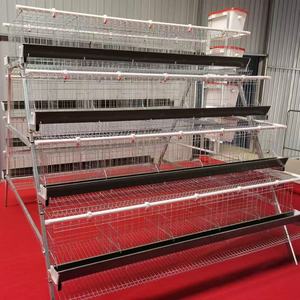Equipo de granja avícola Jaula de capa de pollo Sistema de recolección de huevos automático Jaula para la venta - Product Image 2