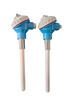 Sensor Termokopel PT1000 PT100 Presisi Tinggi, Termowell Baja Tahan Karat Tahan Lama, Probe 300mm, OEM/ODM, Berperingkat IP67, Garansi 1 Tahun