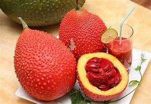 EXTRAIT DE GRAINES DE GAC HERBAL SOURCE DE FRUIT GAC POUR LA CIRCULATION ET LE BIEN-ÊTRE DE LA FONCTION IMMUNITAIRE - Product Image 6