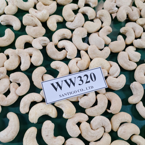 Échantillon GRATUIT Noix de Cajou Santigo Noix de Cajou Noyau de Caju Badam W320 Prêt à Expédier - Product Image 1