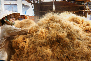 Fournisseur de fibres de noix de coco de haute qualité MS ANNA - Product Image 5