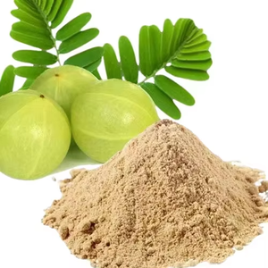 Top selling 100% Pure Organic Amla Fruit <b>Powder</b> Natural Food Grade Indian Gooseberry <b>Superfood</b> <b>Powder</b> at Best Price from India - Product Image 5