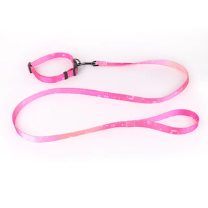 Collar personalizado de la mejor calidad para mascotas, Correa con Material de poliéster brillante, juego de correa ajustable y duradera - Product Image 4