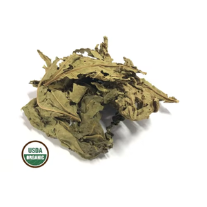 Cosechado salvaje-Hojas secas de Guanábana secas-Deshidratadas - Product Image 6