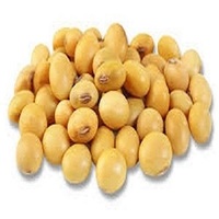 Haricots de soja séchés, graines de soja, protéine végétale, aliment sain, 100% naturel, non-OGM, sucré, torréfié, jaune, 50 kg, prix de gros