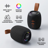 Lecteur audio sans fil mini portable avec lumière LED RVB, caisson de basses puissant, son acoustique clair TWS, pour extérieur, jardin, camping, enceinte sonore