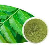 Poudre de feuilles de neem pure pour l'ubtan traditionnel indien et le masque facial éclaircissant naturel pour la beauté du jour du mariage