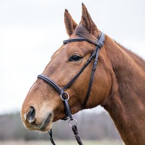 Bridon de course équestre de haute qualité de marque internationale, en cuir noir et marron, personnalisable en couleur et en taille, sans mors - Product Image 2