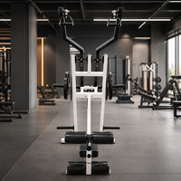 Machine à tirer les lombaires indépendante PowerX à charge libre pour l'entraînement musculaire du dos