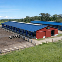 Bâtiment agricole préfabriqué en structure métallique, hangar pour vaches laitières, abri pour bétail, grange agricole en acier