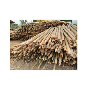 Poste/bastón de bambú fumigado, tamaño personalizado, poste de bambú grande de limpieza en seco natural puro para la construcción - Product Image 6