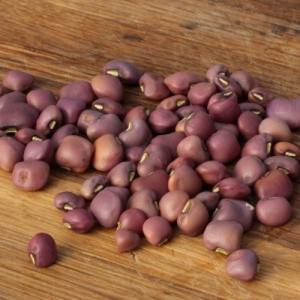 Best Quality White Cowpeas <b>Vigna</b> <b>Beans</b> For Sale - Product Image 3