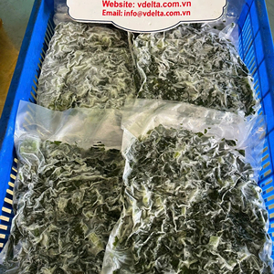 Best-seller Feuilles de patate douce congelées/Saines et délicieuses traitées IQF du Vietnam - Product Image 1