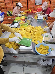 Vietnam Premium mangue séchée douce fruits tropicaux snack sain exportation qualité fabricant - Product Image 3