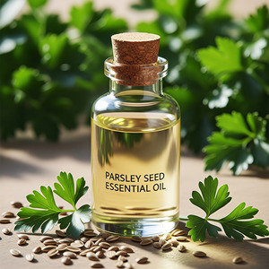 Marque privée Huile essentielle de graines de persil pure Vente en gros OEM Huile naturelle de qualité thérapeutique - Product Image 2