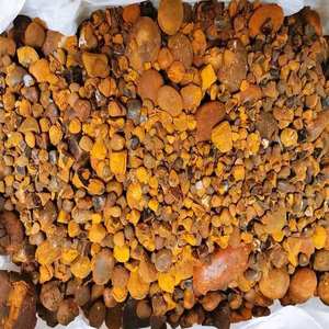 Cálculos Biliares Naturales Puros de Buey/Vaca y Bezoar de Cálculos Biliares de Vaca - Product Image 4