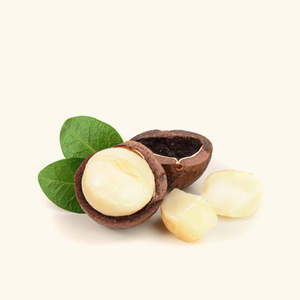 Aceite de Nuez de Macadamia Prensado en Frío, Aceite Esencial Extraído de Semillas, Rico en Ácido Oleico - Product Image 2