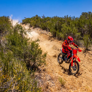 Honda CRF 250RX 2024 - Product Image 6