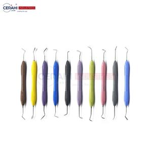 Juego de instrumentos quirúrgicos dentales de 10 piezas, relleno compuesto, Manual, clase I, mango de silicona, resina de acero, esterilización aprobada por CE - Product Image 2