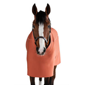 Productos para montar a caballo Alfombras de caballo Premium ligeras Precios al por mayor Proveedor Alfombras de caballo hechas en fábrica - Product Image 1