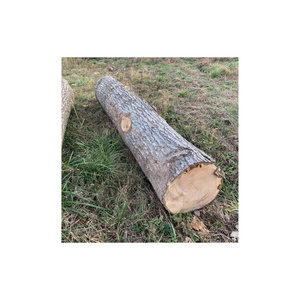 Gỗ sồi trắng và đỏ giá cả phải chăng có sẵn để mua bán buôn với vận chuyển toàn cầu - Product Image 6