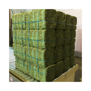 หญ้าอัลฟัลฟ่าแห้งแบบประหยัดสำหรับสัตว์เลี้ยงเลี้ยงปลากระพงขาวบรรจุในถุงอายุการเก็บรักษา1ปี - Product Image 3