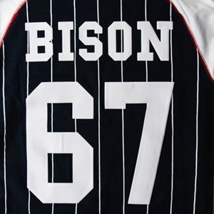 Pull personnalisé unisexe Howard University Bison, vêtements HBCU d'hiver en noir et blanc avec 67 motifs au dos - Product Image 4