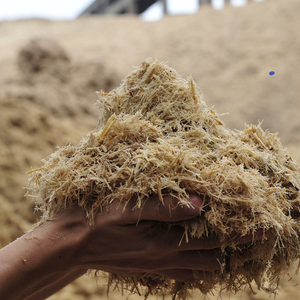 Bagasse de canne à sucre séchée naturelle 100% pour l'alimentation du bétail, production biologique d'énergie renouvelable de biomasse Agriculture écologique - Product Image 2