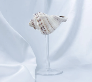 Vidrio en forma de concha marina Ideal para exhibir bebidas y estilo de mesa de lujo para el hogar - Product Image 4