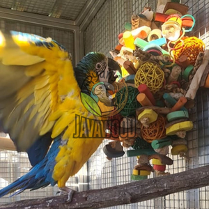 Juguetes de madera para masticar para su pájaro mascota hechos de materiales de madera natural de Indonesia sostenibles con precio al por mayor - Product Image 1