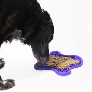 Violet Pet Bowls & Feeders Violet Color for Fido's Dining Experience - Product Image 3