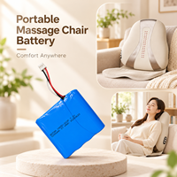 Batterie rechargeable 18650 2S2P 5200mAh 7.2V avec BMS pour coussin de massage
