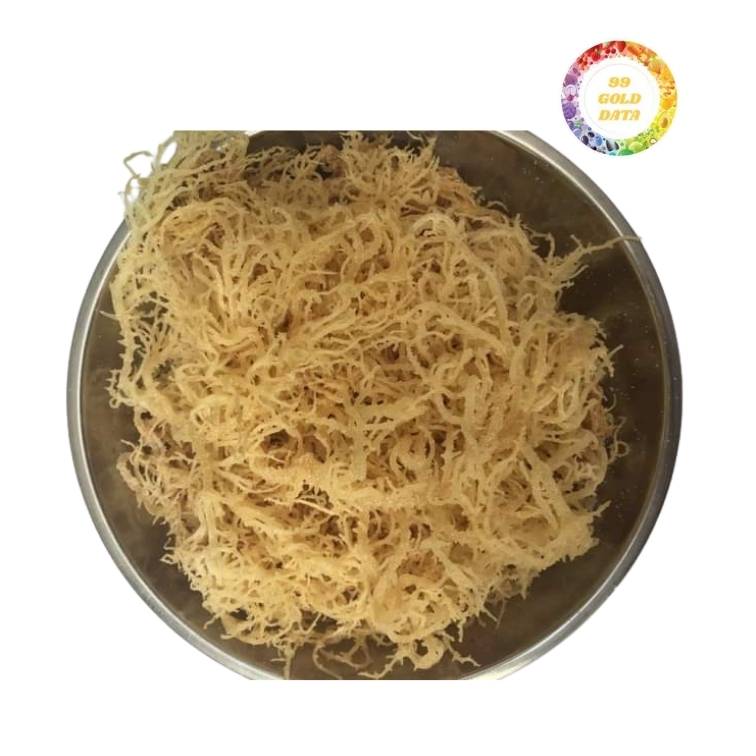 Top Grade Cottonii Seaweed Harvested Fresh, Carefully Dried, Best Wholesale Price, Quick Delivery from Vietnam