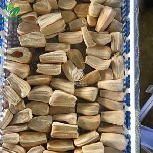 Jacasfrutas Orgánicas Congeladas IQF - Alta Calidad, Envasado al Vacío y a Granel con Conservación del Agua, Precio Atractivo de Vietnam - Product Image 5