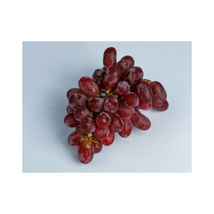 Raisins noirs sans pépins, saveur intense, riches en antioxydants, peaux brillantes, cueillis à la main, qualité supérieure, produits frais de la ferme - Product Image 2