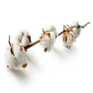 Coton naturel 100% avec emballage personnalisé disponible coton brut pur pour des utilisations multiples par des exportateurs du monde entier