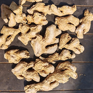 Offre incroyable Spicecentra, gingembre de Maharashtra entier, cru, séché, de qualité supérieure, authentique, disponible en stock, durée de conservation de 12 mois - Product Image 1