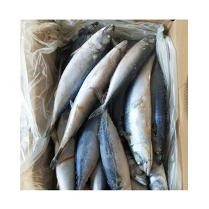 Mejor Precio de Fábrica: Pescado Congelado, Caballa Española Entera, en Venta - Product Image 1